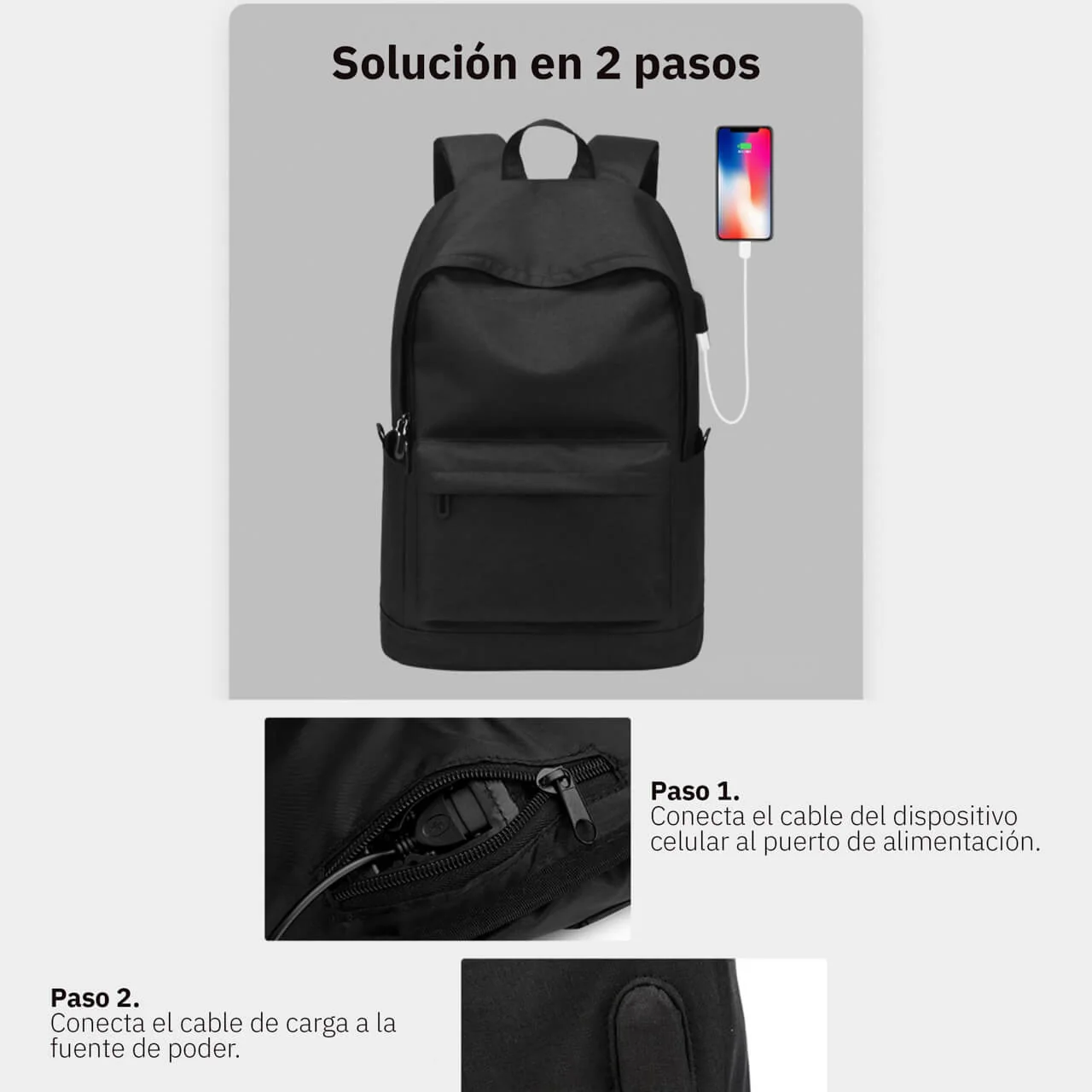 Morral Asia - Image 11
