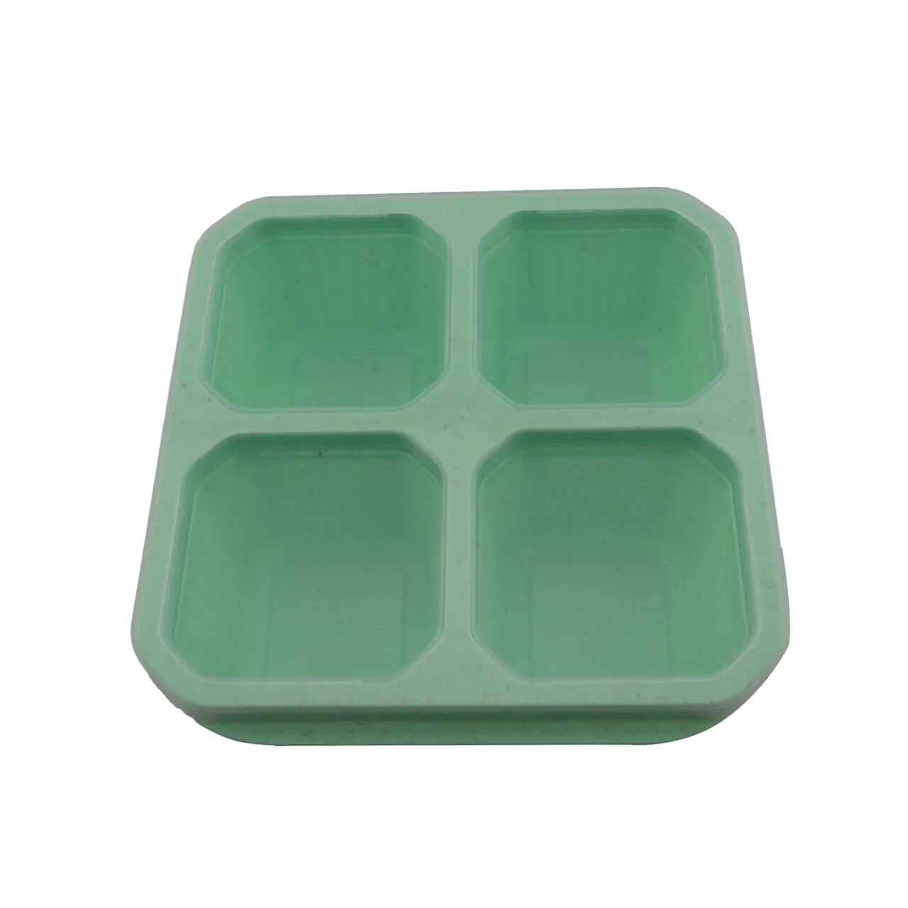 Recipiente 4 - Image 2