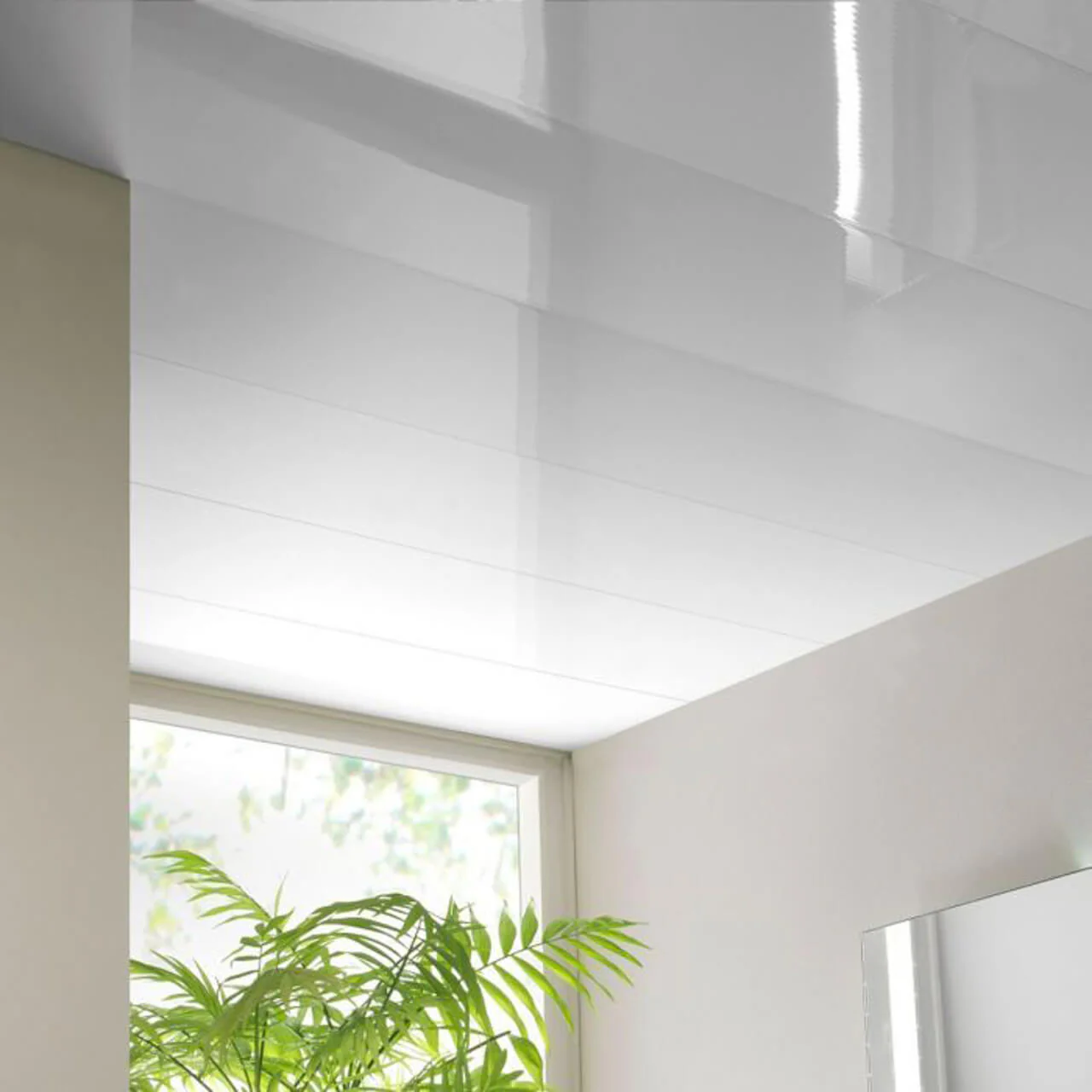 Techo Pvc 1 - Image 3